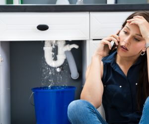 About Water Leak Detection Pros Dafter, MI